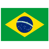 Brazilian flag